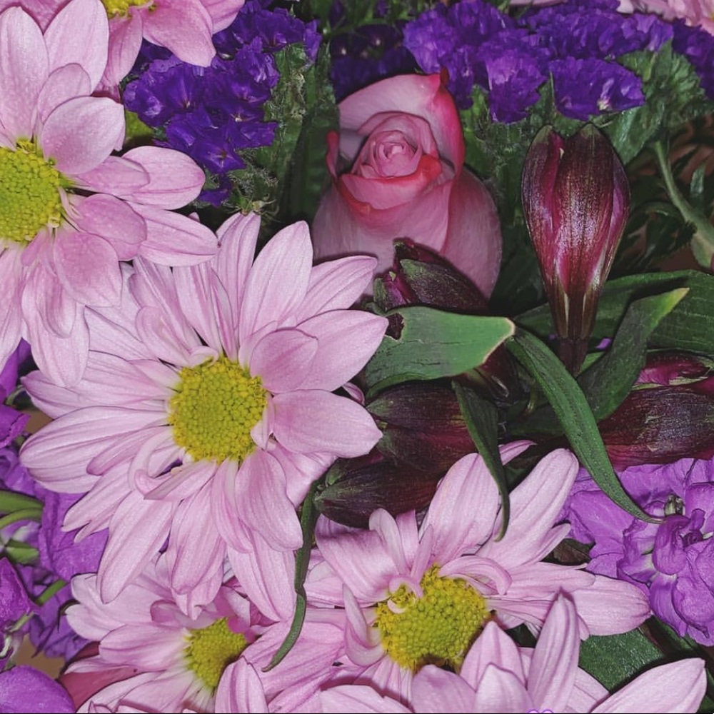 Meet your Posher, Susan